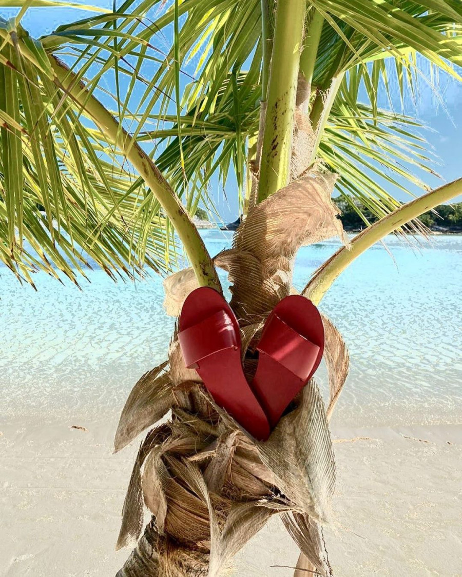 82667631 228741944813103 885506665887898645 n