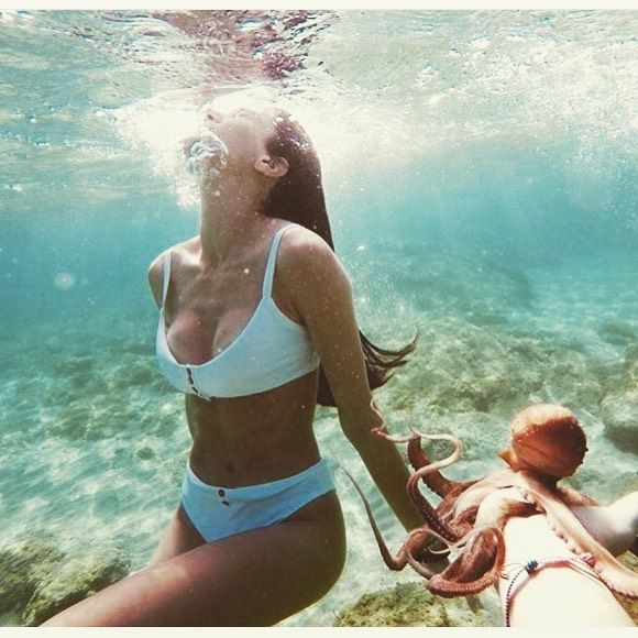 theknls 97905059 2958786320833668 6766326304742545954 n