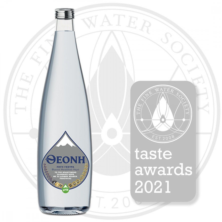 Silver Award THEONI Still