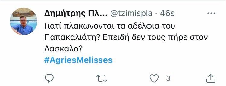 zaxos petros melisses6