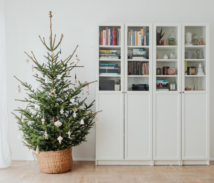 xristoygenniatik dentra2 1 copy