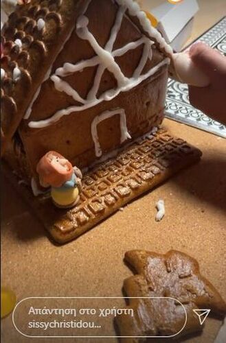 sisi xristidou gingerbread spitakia 7