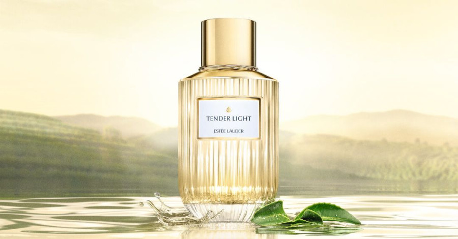 Luxury Fragrance Collection Tender Light 