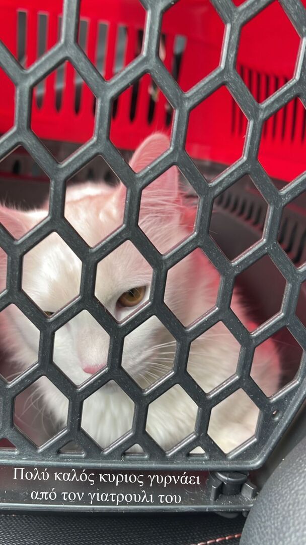 mairi sinatsaki orthografia