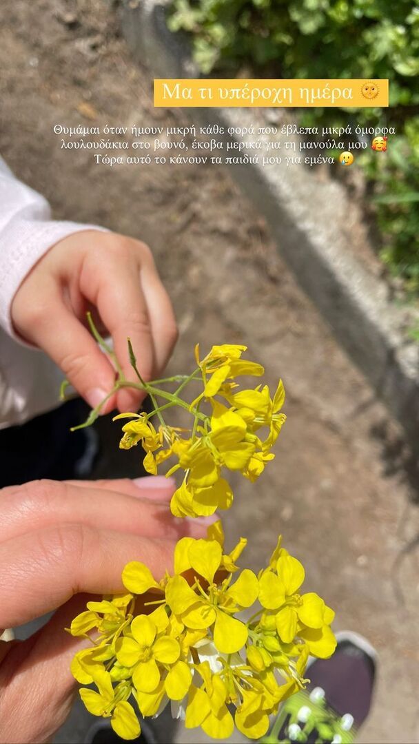 doukissa nomikou paidia sinitheia