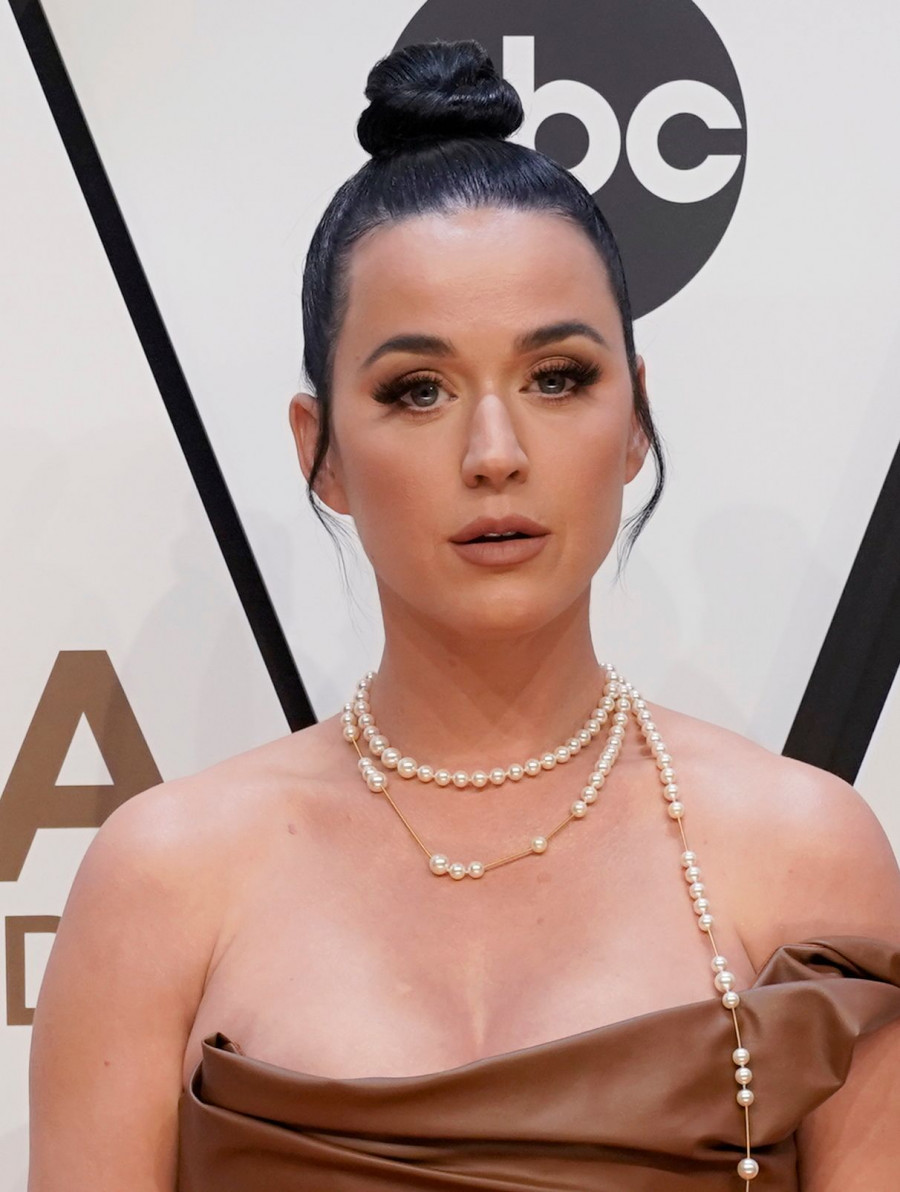 55th Annual Country Music Awards - Arrivals