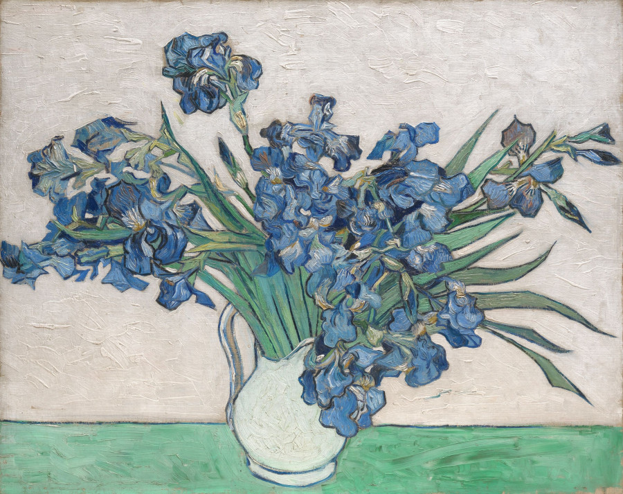 Vincent-van-Gogh-Irises-The-Metropolitan-Museum-of-Art.jpg