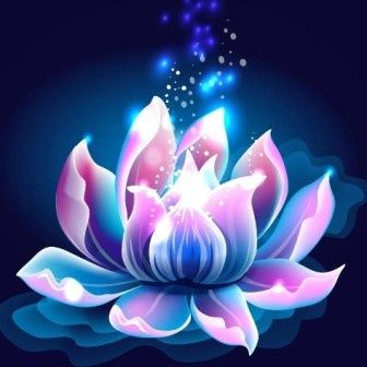 lotus flower