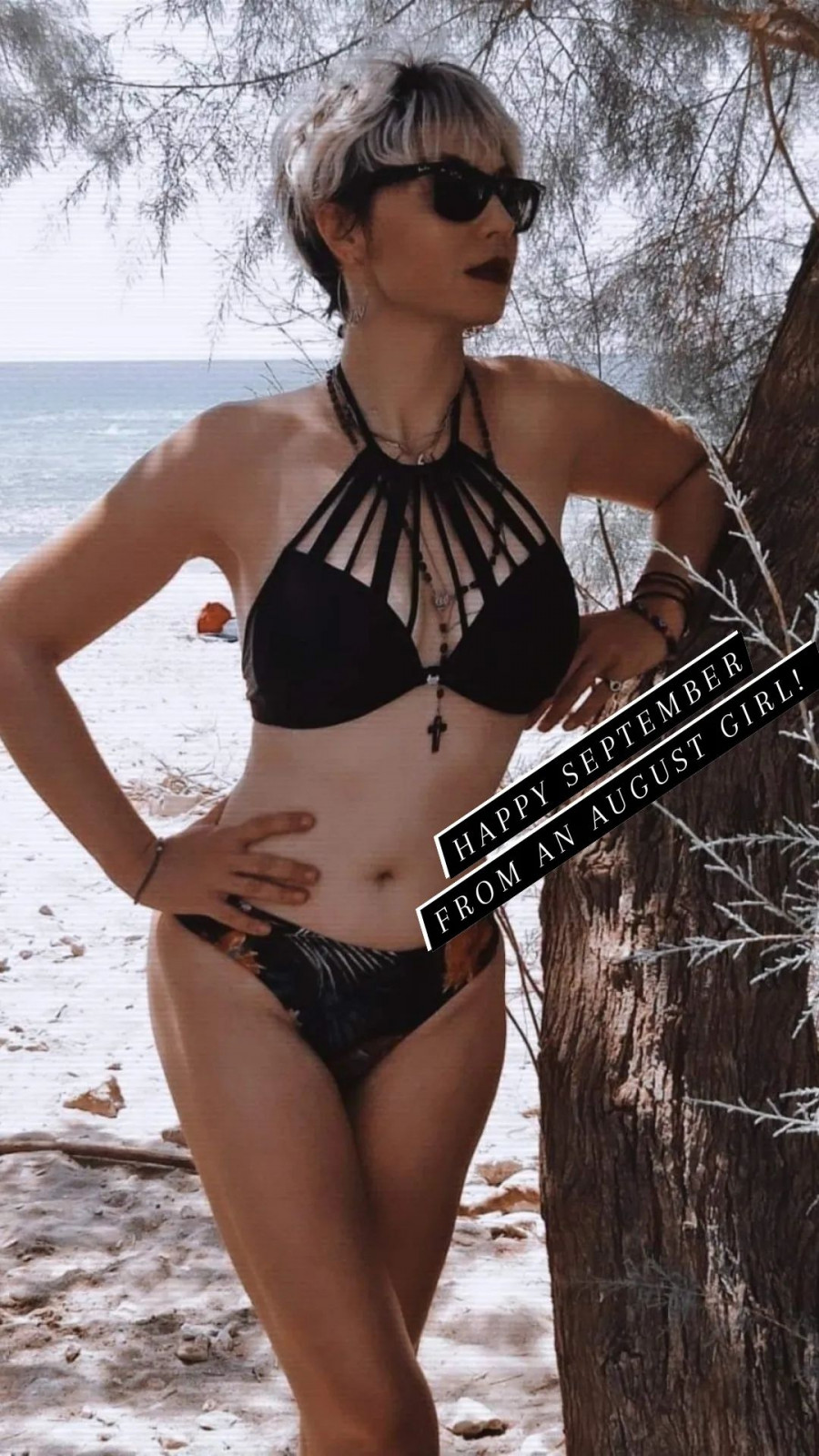 unknown_304739906_1411336569357566_2489625145051326180_n.jfif