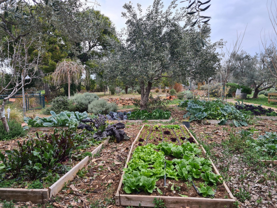 perivoli sti vari.jpg