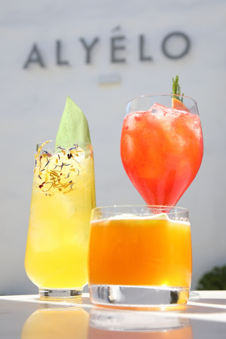 Alyelo_cocktails.jpg