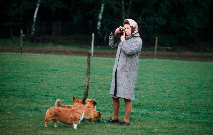 GBR: Queen Elizabeth II in Windsor Park