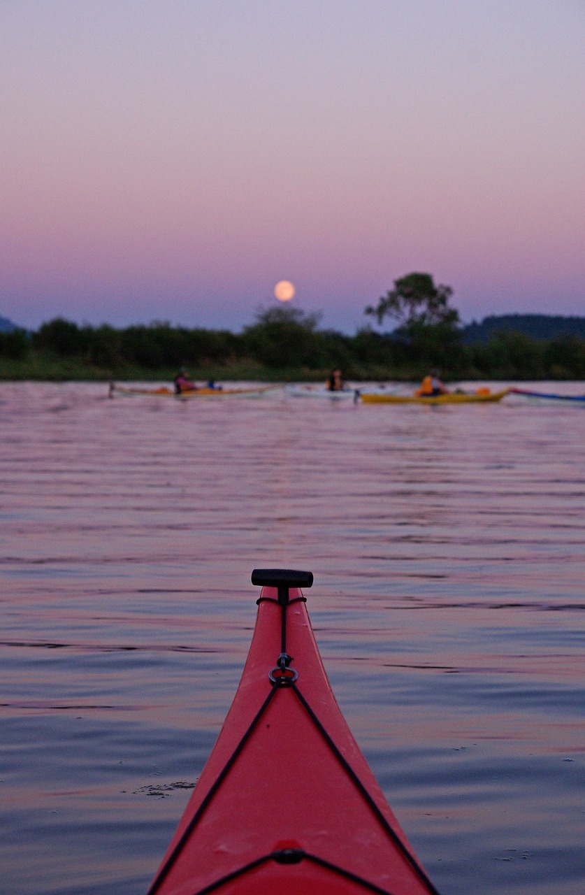 kayak-1207360_1280.jpg