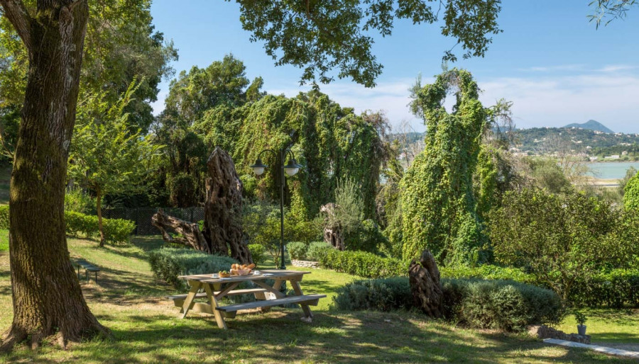 CORFU-gardens.jpg