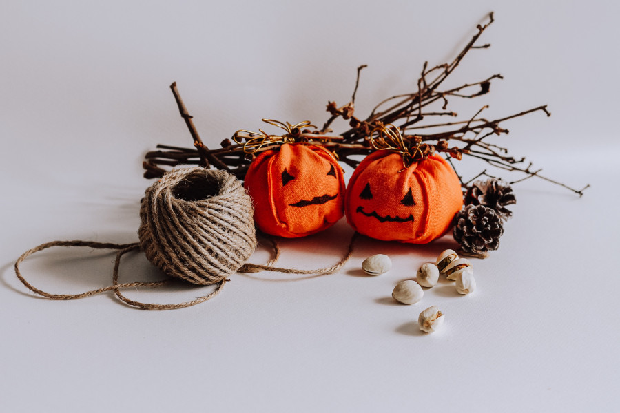Closeup of Halloween decorations on white background