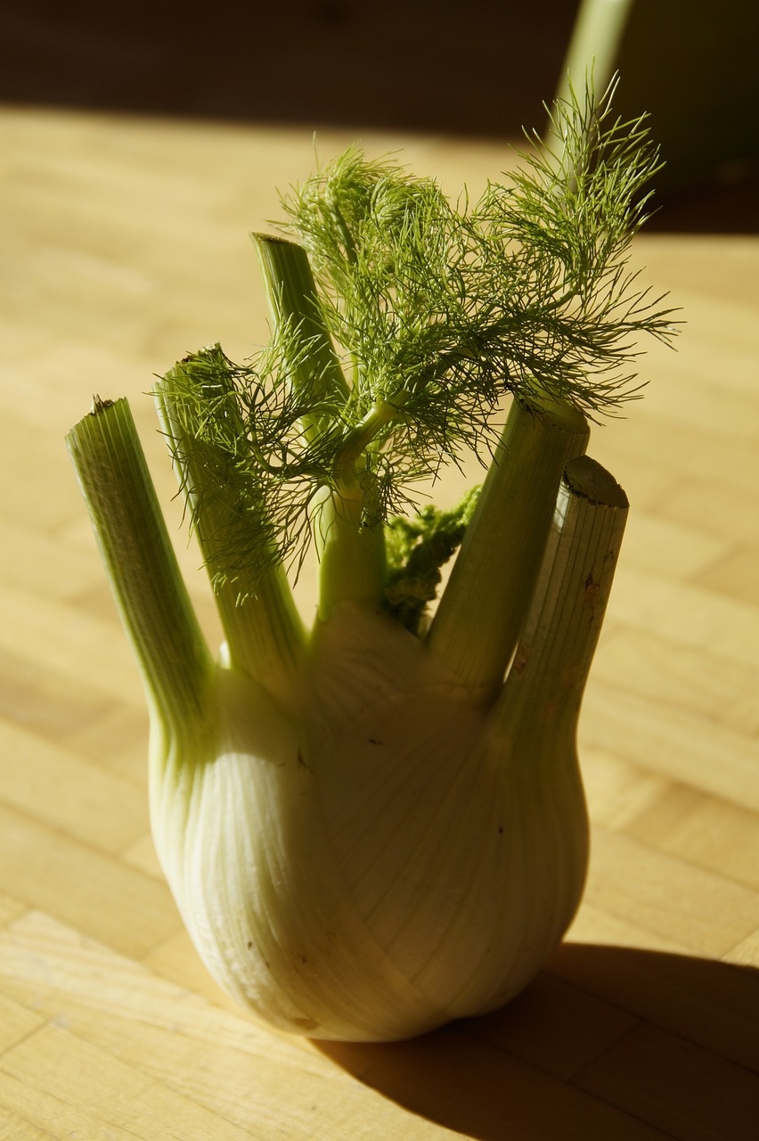 fennel-214677_1280.jpg
