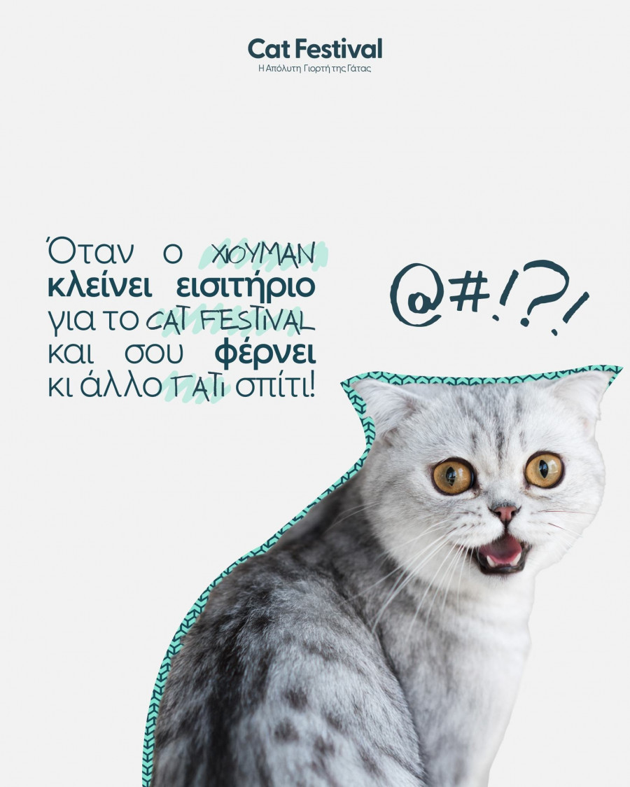 catfestival.gr_1733130036_3514071888068909360_67573289565.jpg