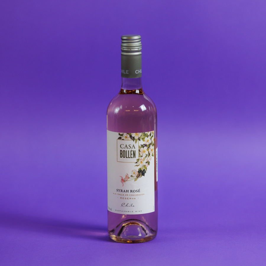 casa-bollen-syrah-1.jpg