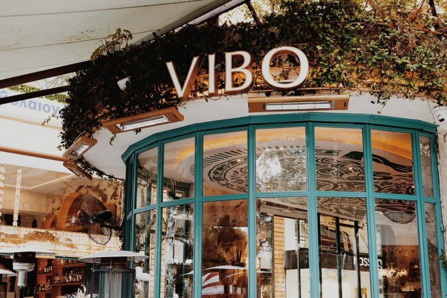 VIBO.jpg