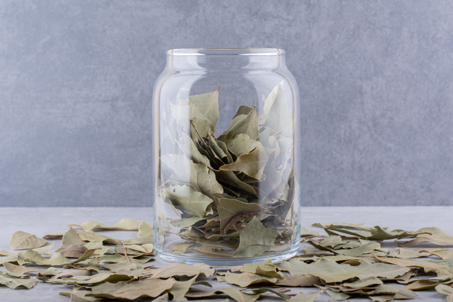 Green dry bay leaves in a cup on concrete background