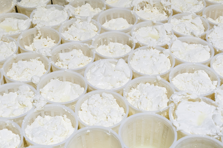 clemnos-philema-2022-photo-by-pantelis-pravlis-hrysafis-dairy-46.jpg