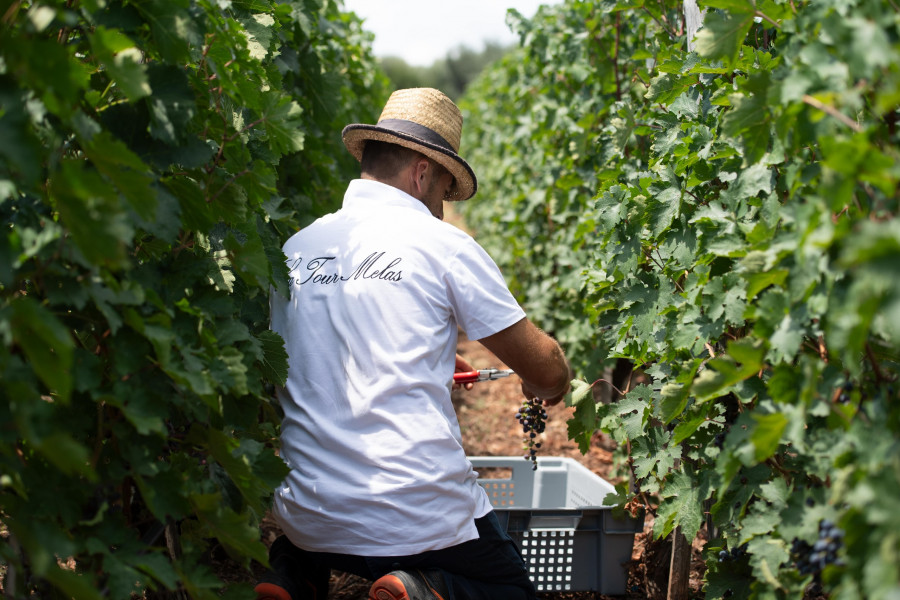 la-tour-melas-winery.jpg