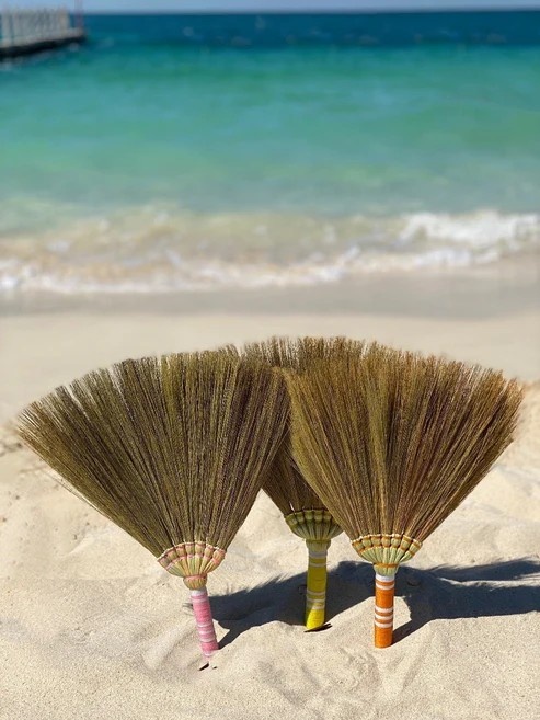 beach-broom-yellow-232965.jpg
