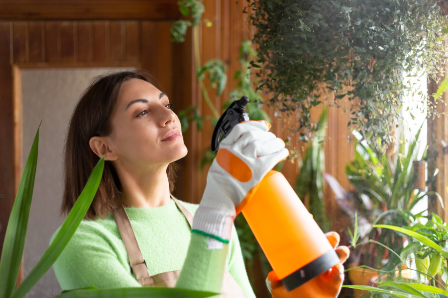 Woman gardener at home in apron and gloves with growing plants on house balcony watering using spray