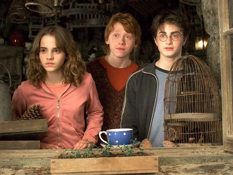 28e92643-harrypotter174516123936149969331442337081315934698.jpeg