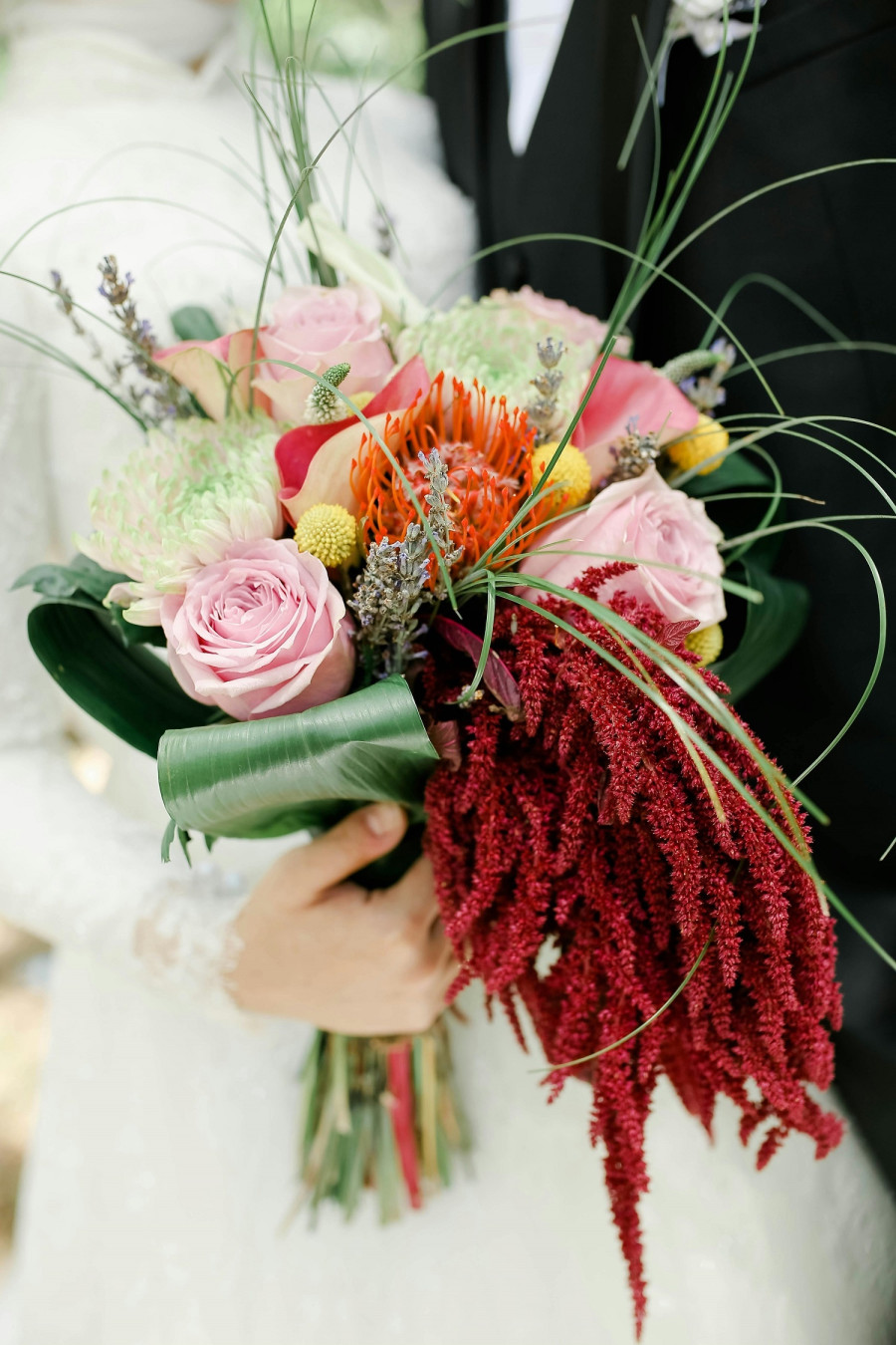 amaranth1.jpg