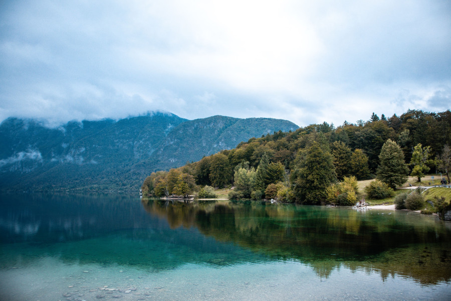 lake-bohinj-slovenia.jpg