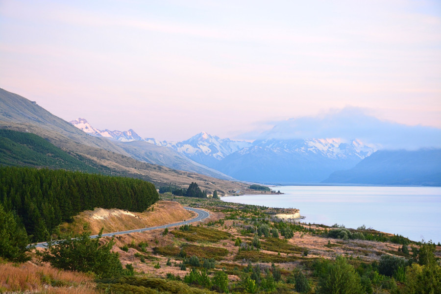 new-zealand.jpg