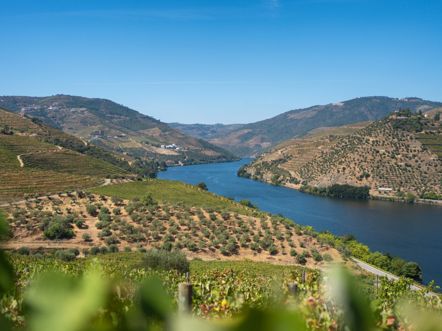 douro-valley.jpg