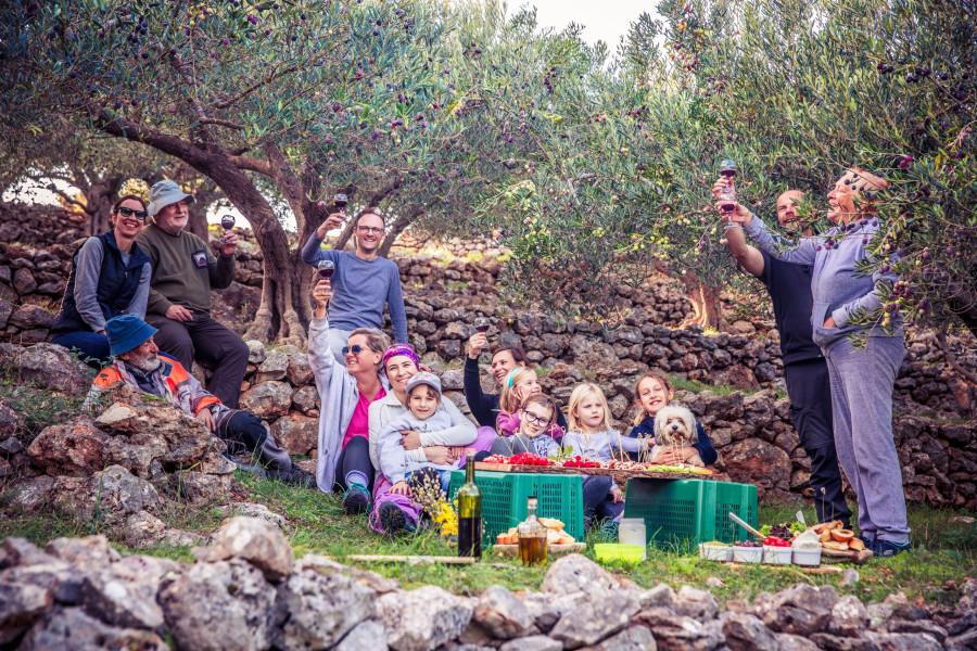 olives-crete.jpg