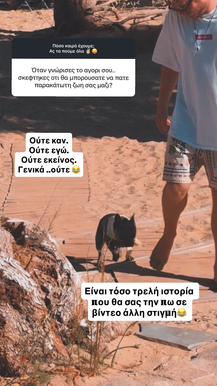 danaibarka178489331648766689.jpg