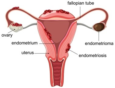 picture1.jpg