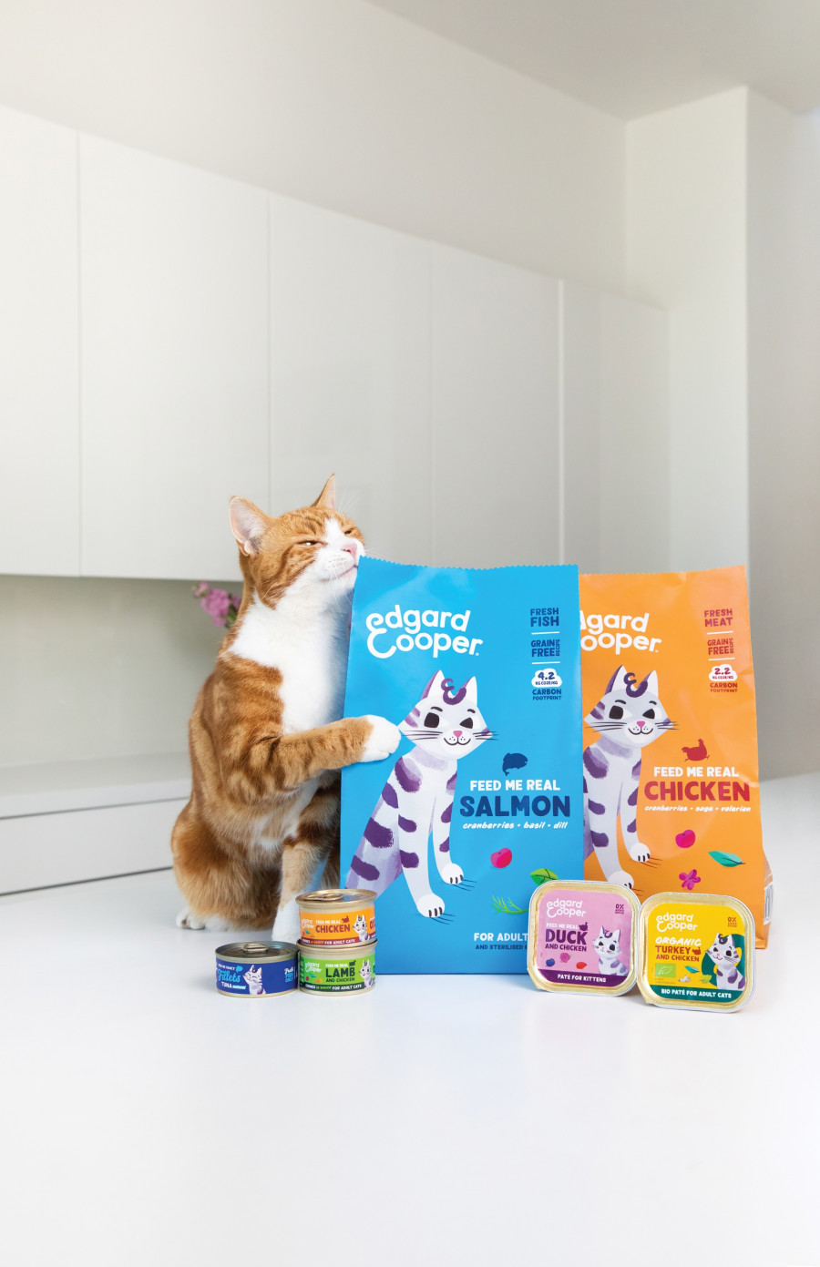 2022-06lifestylecat-e-1.jpg