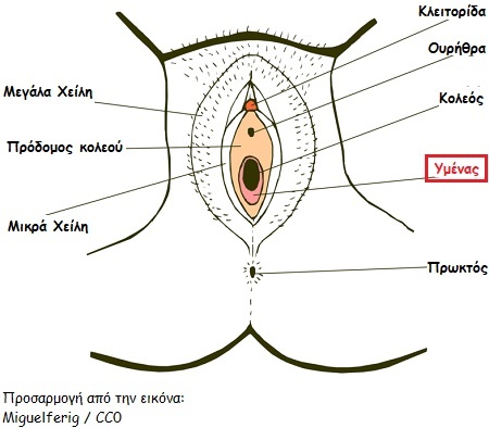 kolpos-ginaikeios.jpg