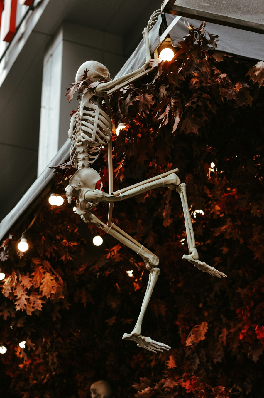 halloween3.jpg