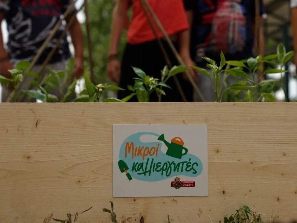 Πώς ένας σχολικός λαχανόκηπος μπορεί να μετατραπεί σε μάθημα διατροφής (και ζωής)